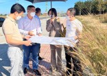 Giáp Tết, nhà đầu tư lướt sóng vẫn quyết định “xuống tiền”